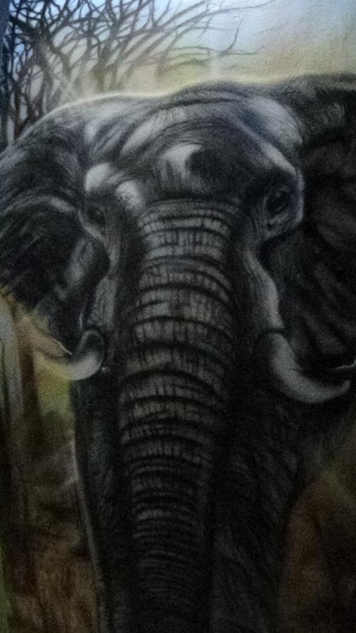 Pousada Encanto E Magia São Tomé das Letras Dış mekan fotoğraf